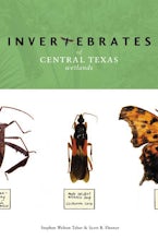 Invertebrates of Central Texas Wetlands