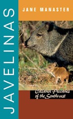 Javelinas