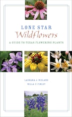 Lone Star Wildflowers
